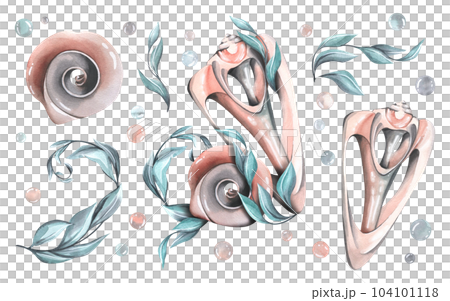 Seashells with a cut, with holes in the curls of algae. Watercolor illustration. A set of a large set of WHALES. For decoration and design of beach and summer prints. Seashells with a cut, with holes in the curls of algae. Watercolor illustration. A set of a large set of WHALES. For decoration and design of beach and summer prints. 104101118