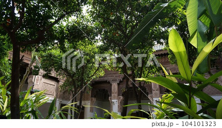 バヒア宮殿、中庭にあるたくさんの植物【モロッコ・マラケシュ】 バヒア宮殿、中庭にあるたくさんの植物【モロッコ・マラケシュ】 104101323