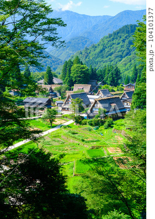 五箇山・相倉合掌造り集落（夏） 104101377