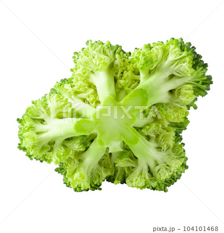 Fresh broccoli blocks for cooking isolated on a white background. Fresh broccoli blocks for cooking isolated on a white background. 104101468