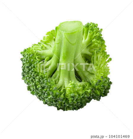 Fresh broccoli blocks for cooking isolated on a white background. 104101469