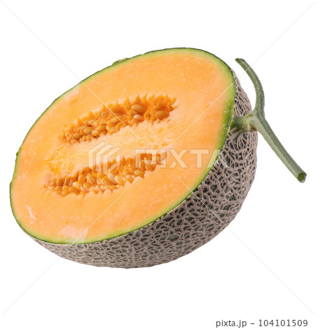 cantaloupe melon isolated on a white background 104101509