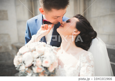 Perfect couple bride, groom posing and kissing in their wedding day 104101966