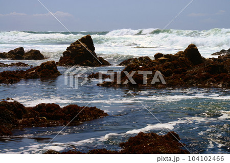 Surf Breaking Asilomar State Marine Reserve California 104102466