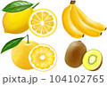 黄色い果物  くだもの フルーツ 104102765