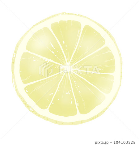 スライスしたレモンのイラスト素材 104103528