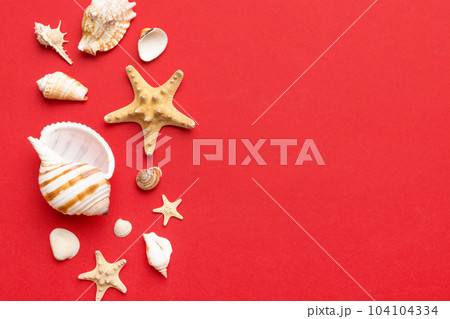 Summer time concept Flat lay composition with beautiful starfish and sea shells on colored table, top view with copy space for text Summer time concept Flat lay composition with beautiful starfish and sea shells on colored table, top view with copy space for text 104104334