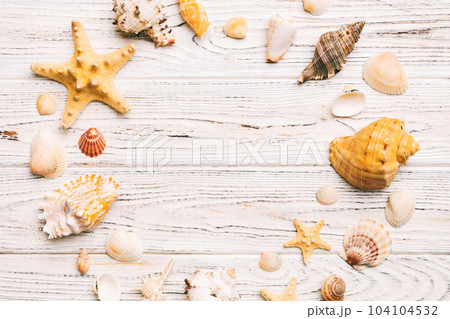 Summer time concept on colored background. Seashells from ocean shore in the shape of frame separated with space for text top view Summer time concept on colored background. Seashells from ocean shore in the shape of frame separated with space for text top view 104104532