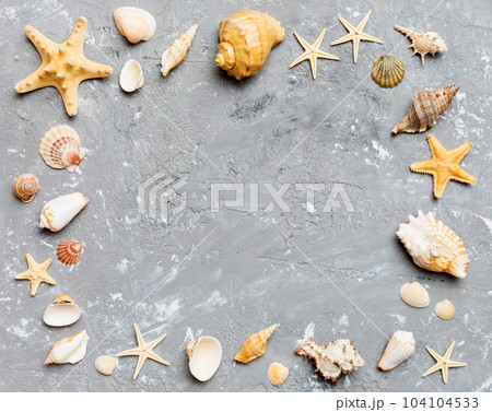 Summer time concept on colored background. Seashells from ocean shore in the shape of frame separated with space for text top view Summer time concept on colored background. Seashells from ocean shore in the shape of frame separated with space for text top view 104104533