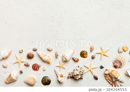Summer time concept Flat lay composition with beautiful starfish and sea shells on colored table, top view with copy space for text 104104553