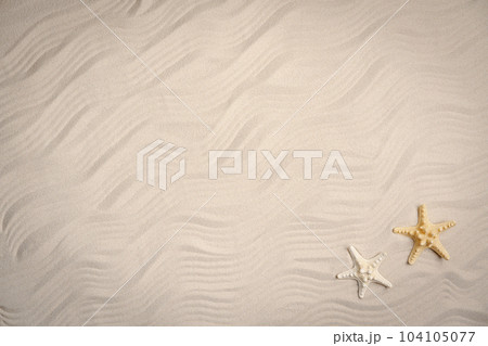 Sea sand with starfish and seashells 104105077