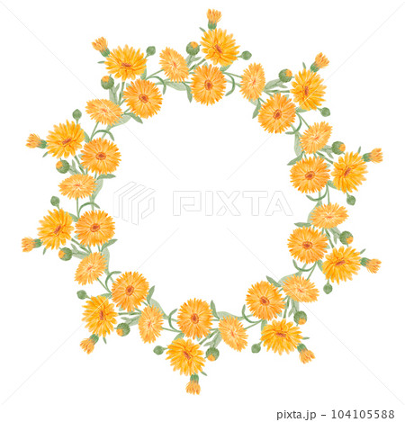 Frame of orange calendula officinalis. Watercolor hand drawn illustration. Botanical painting for labels, eco goods, textiles, natural herbal medicine, healthy tea, cosmetics and homeopatic remedies. Frame of orange calendula officinalis. Watercolor hand drawn illustration. Botanical painting for labels, eco goods, textiles, natural herbal medicine, healthy tea, cosmetics and homeopatic remedies. 104105588