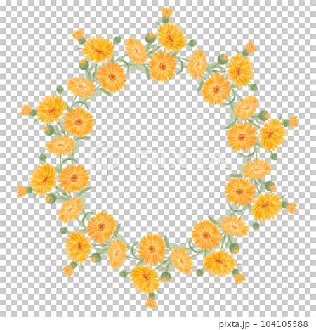 Frame of orange calendula officinalis. Watercolor hand drawn illustration. Botanical painting for labels, eco goods, textiles, natural herbal medicine, healthy tea, cosmetics and homeopatic remedies. Frame of orange calendula officinalis. Watercolor hand drawn illustration. Botanical painting for labels, eco goods, textiles, natural herbal medicine, healthy tea, cosmetics and homeopatic remedies. 104105588