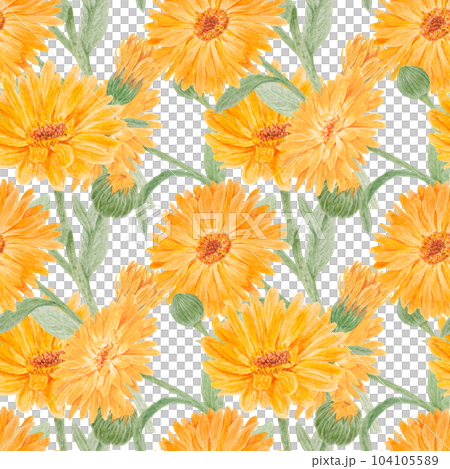 Seamless pattern of orange calendula officinalis. Watercolor hand drawn botanical illustration for labels, eco goods, textiles, natural herbal medicine, healthy tea, cosmetics and homeopatic remedies. 104105589