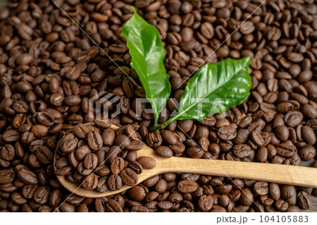 Coffee brown bean medium roasted with fresh green leaf. Coffee brown bean medium roasted with fresh green leaf. 104105883