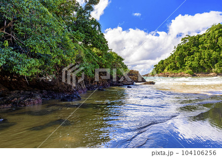 Paradisiacal and preserved beach in Itacare Paradisiacal and preserved beach in Itacare 104106256