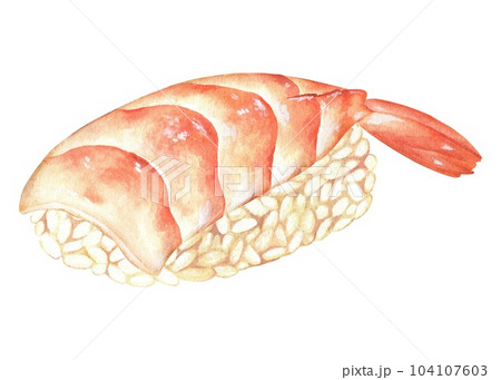 Sushi with prawn ebi. Watercolor illustration. Shrimp with rice delicious japanese food. Nigiri asian cuisine. Hand drawn clip art isolated on a white background. To restaurant menu design 104107603
