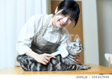猫の毛並みを整えるトリマーの女性 猫の毛並みを整えるトリマーの女性 104107646