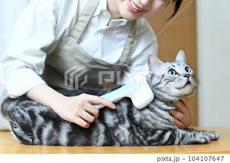 猫の毛並みを整えるトリマーの女性 104107647