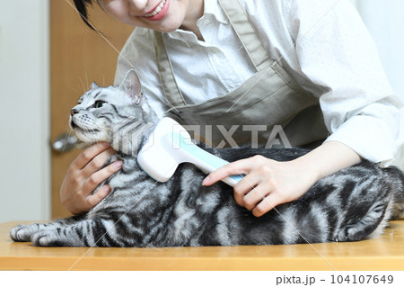 猫の毛並みを整えるトリマーの女性 104107649