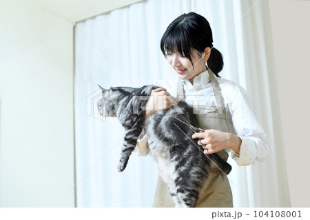 猫の毛並みをハサミで整えるトリマーの女性 猫の毛並みをハサミで整えるトリマーの女性 104108001