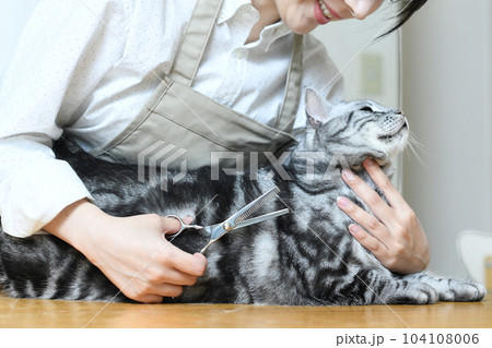猫の毛並みをハサミで整えるトリマーの女性 104108006