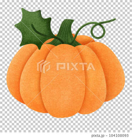 Cute orange pumpkin 104108093