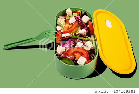 Healthy vegan vegetable salad in lunch box Healthy vegan vegetable salad in lunch box 104109381