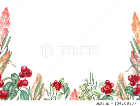 Bright red cranberries and imprints of autumn colorful leaves of different trees. Illustration isolated on white background. Horizontal watercolor frame with copy space for text 104109537