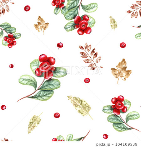 Seamless pattern of watercolor red cranberries and imprints of autumn colorful leaves isolated on white background. Illustration for room decor, print, textile design. Cozy home Seamless pattern of watercolor red cranberries and imprints of autumn colorful leaves isolated on white background. Illustration for room decor, print, textile design. Cozy home 104109539