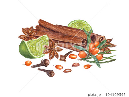 Sea buckthorn, cinnamons, line slices, pine needles, cloves, star anise isolated on white background. Watercolor botanical illustration for the design of cards, package design, labels 104109545