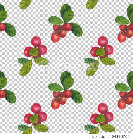 Watercolor red berries seamless pattern on white background. Fresh