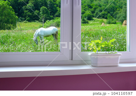 young plants on the window-sill and view to the meadow with grazing horse 104110597
