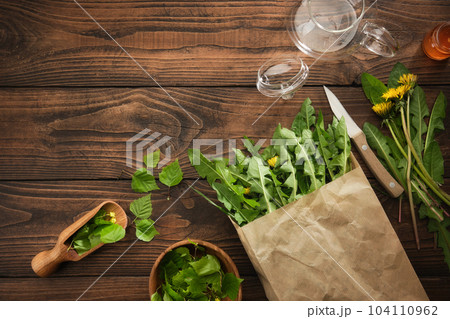 Picked fresh dandelion leaves. Raw Green organic dandelion greens for cooking salad or brewing tea. Bowl of birch leaves for making herbal tea. Healthy eating. Herbal medicine. Top view, flat lay. Picked fresh dandelion leaves. Raw Green organic dandelion greens for cooking salad or brewing tea. Bowl of birch leaves for making herbal tea. Healthy eating. Herbal medicine. Top view, flat lay. 104110962