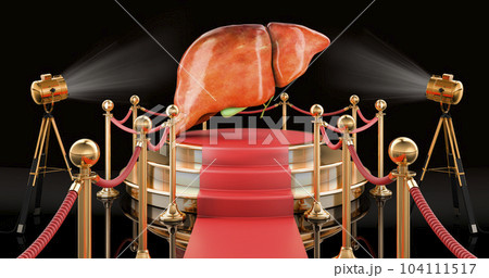 Podium with human liver with gallbladder, 3D rendering Podium with human liver with gallbladder, 3D rendering 104111517