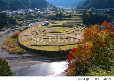稲刈りの済んだ季節の、あらぎ島（和歌山県有田川町） 104113619