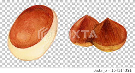 手描き水彩の栗まんじゅうと栗のセットイラスト 104114351