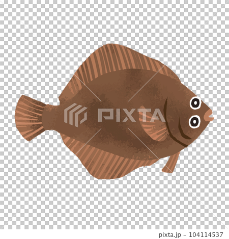 Flatfish watercolor illustration 104114537