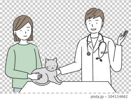 Veterinarian and owner examining a cat Veterinarian and owner examining a cat 104114662