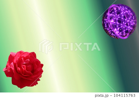 紅い薔薇　花びら 104115763