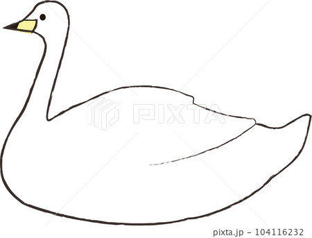 横を向く白鳥のイラスト 104116232