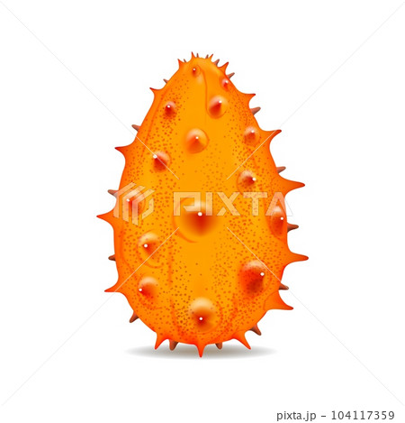 Horned melon fruit realistic 104117359