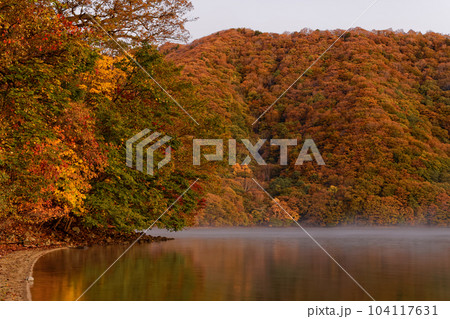 朝もや上がる夜明けの中禅寺湖畔の紅葉 104117631