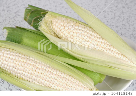 白いトウモロコシ（4） 104118148