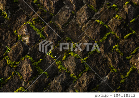 間知石積みの壁の目地に固化が模様を描いている 104118312