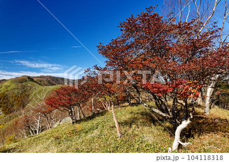 奥日光・社山から黒檜山への稜線の紅葉 104118318