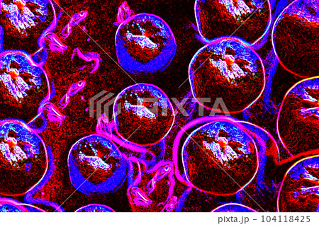Illustration of a blood cell on a black background, close-up Illustration of a blood cell on a black background, close-up 104118425