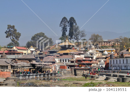世界文化遺産カトマンズの渓谷　ネパール最大のヒンドゥー教寺院パシュパティナートの建造物 104119551