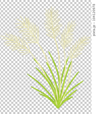 Susukino simple cute watercolor illustration Susukino simple cute watercolor illustration 104120978