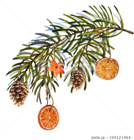 Watercolor Christmas set of fir branch with...のイラスト素材 [104121464] - PIXTA
